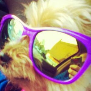 Meet your Posher, Melissa